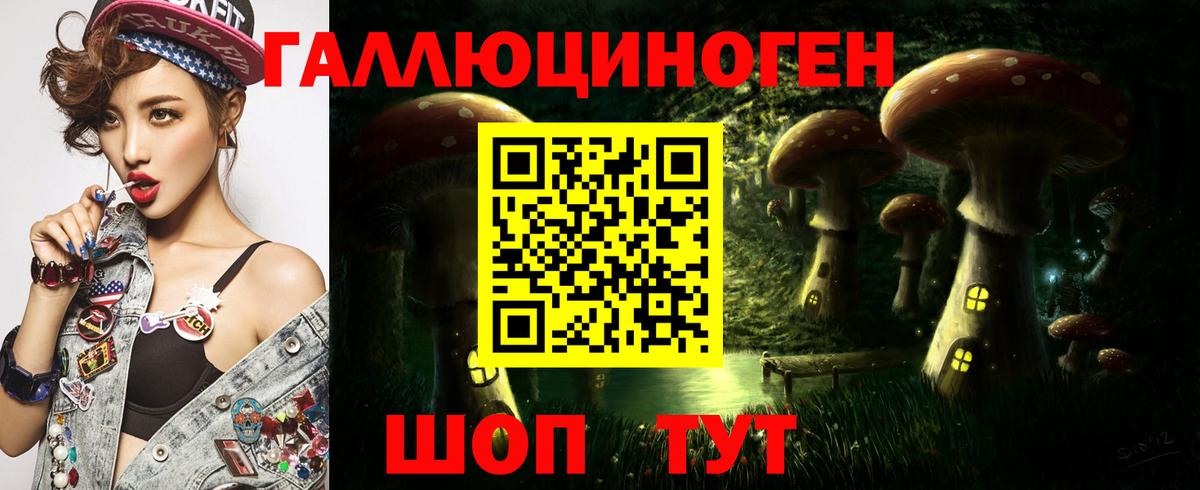 Псилоцибиновые грибы Psilocybe  Галлюциногенные грибы GOLDEN TEACHER  Стерлитамак  Вход с VPN 